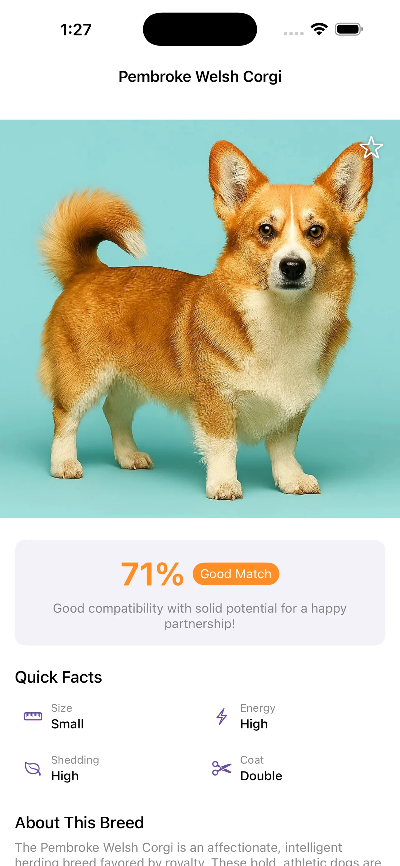 Pawsonality screenshot 2
