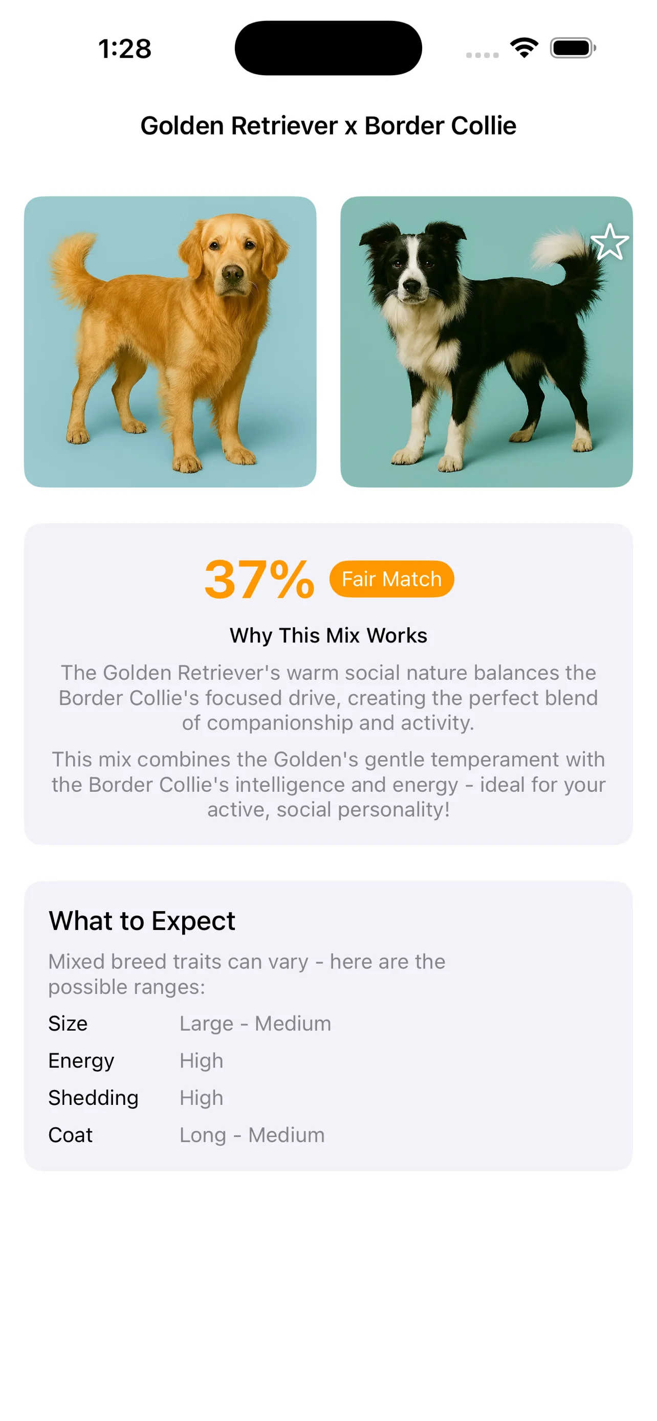 Pawsonality screenshot 7