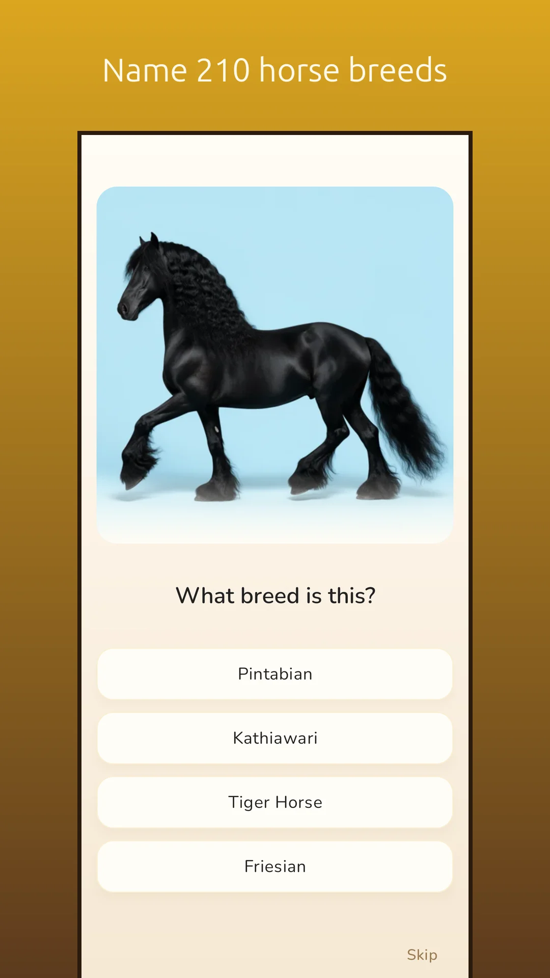 PonyIQ screenshot 2